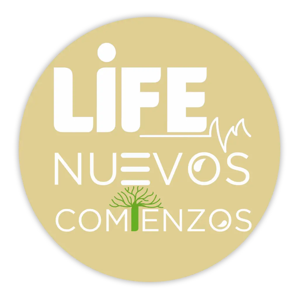logo de servicio de life sobre parejas divorciadas